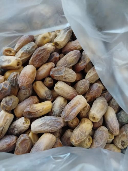 تصویر 5 از خرید خرمای سنگ‌ شکن + قیمت فروش استثنایی